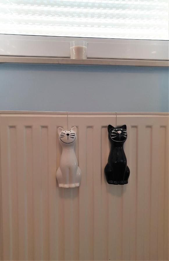 Apartman Silvija Ösek Dış mekan fotoğraf